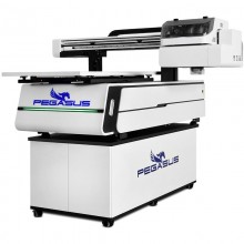 Pegasus Axis IV 2021  UV printer with 60x90 cm printing area